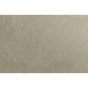 ZETOR Gold Beige Metal Paint 1 ltr VLB5125